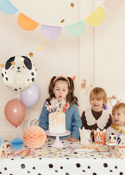 "Sunīšu ballīte" pinterestīgs ballīšu komplekts, vērtība 68.40 eur (72 produkti)