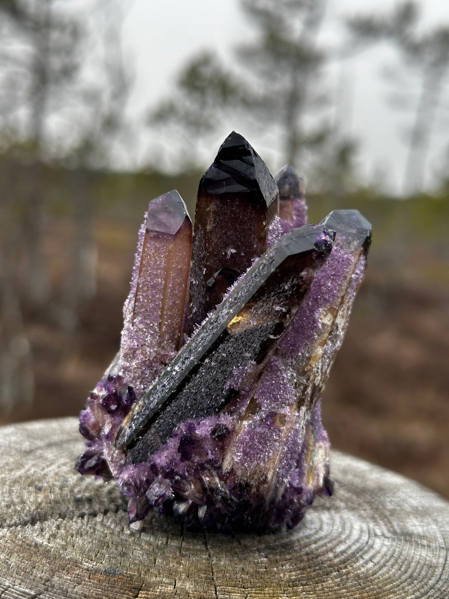 RAW Amethyst Crystal Cluster