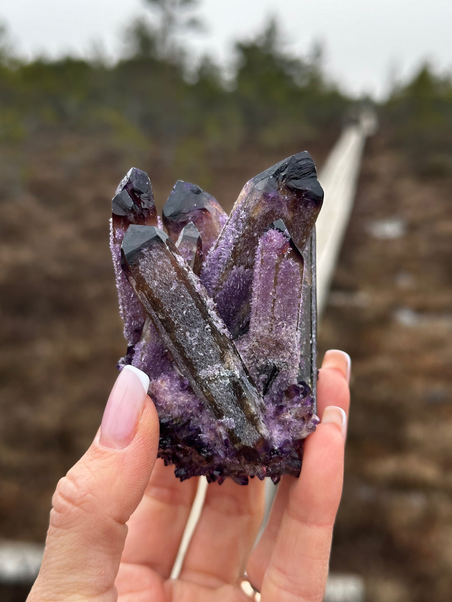 RAW Amethyst Crystal Cluster