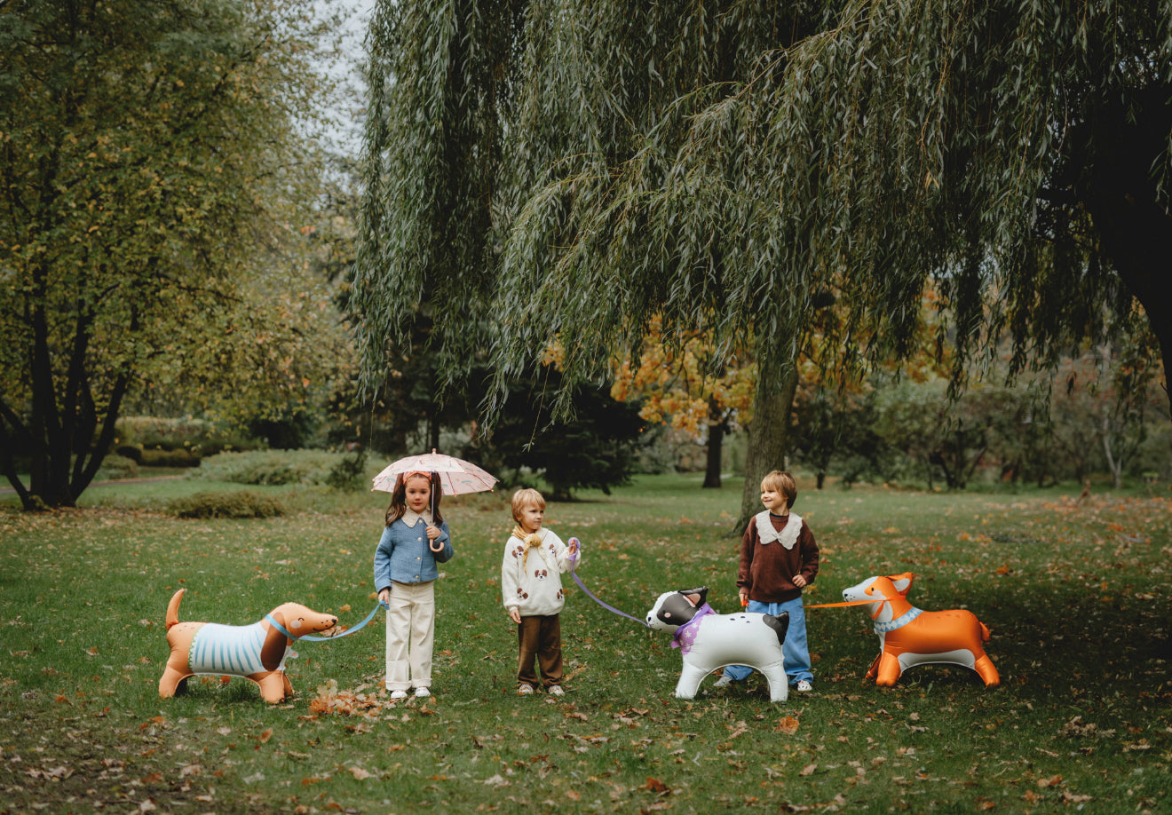 Stāvošs folijas balons “Korgijs”, 88 x 70 cm , krāsu miks, matēta apdare