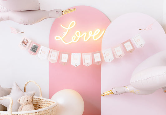 Mazulīša mēnešu foto rāmīšu virtene “Stārķis”, krāsu mikss, 10,5 × 15 cm