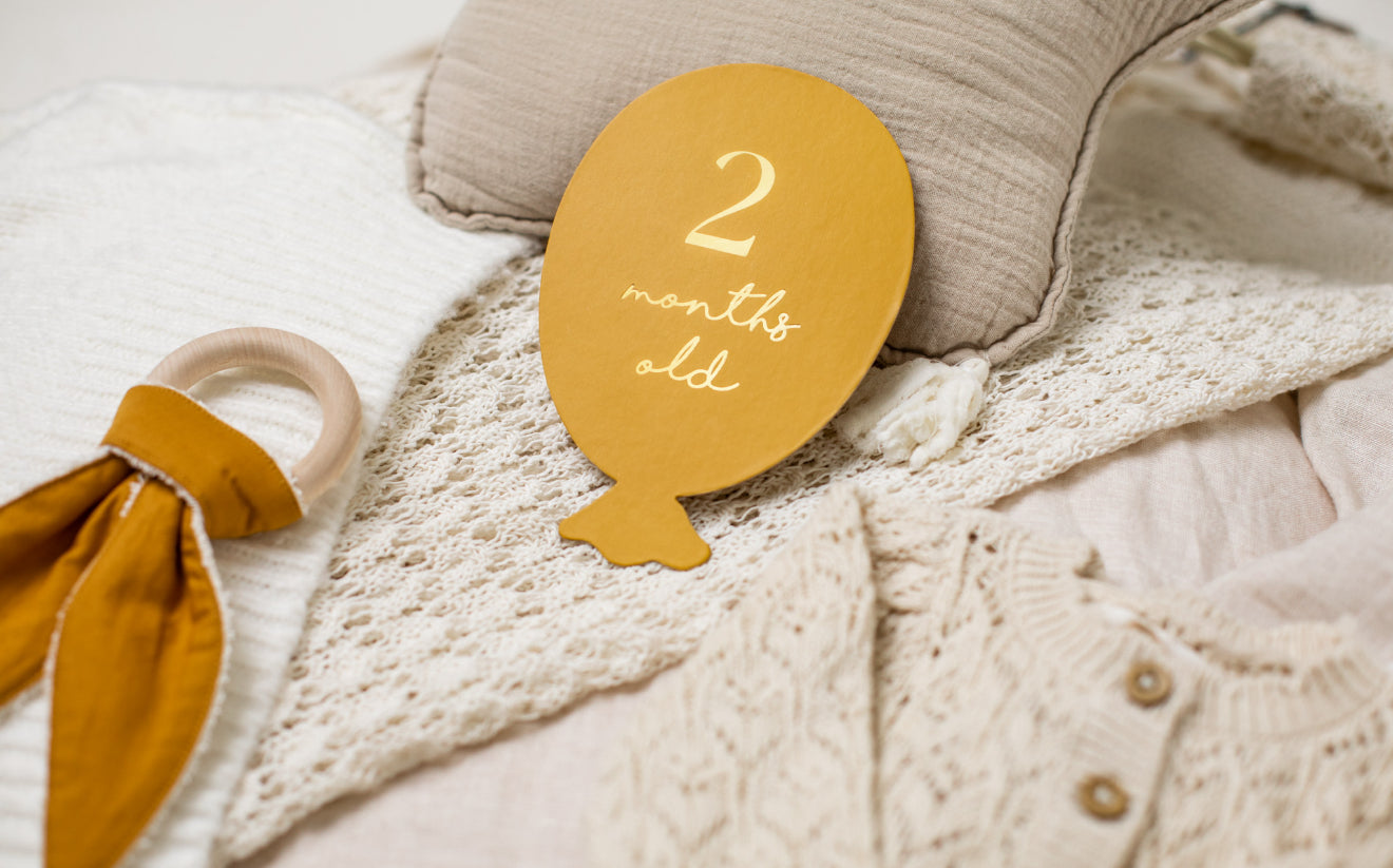 Mēnešu kartītes fotosesijām “Baloni”, krāsu mikss, 11,5 × 17 cm