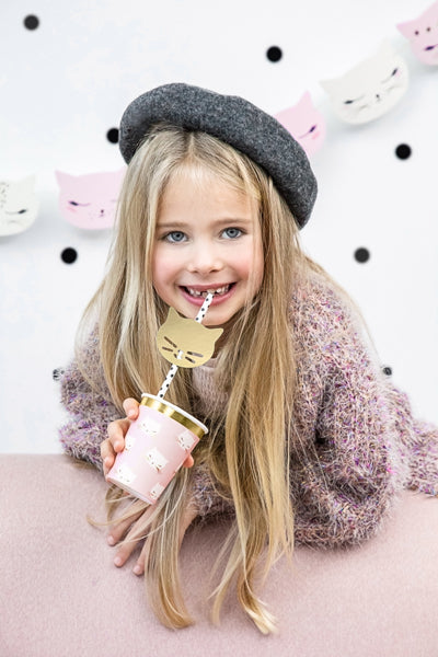 "Kaķīšu ballīte" pinterestīgs ballīšu komplekts, vērtība 45.60 eur (50 produkti)